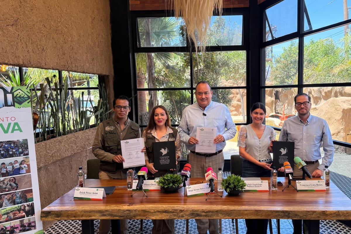 PaiPai y CEDH de Baja California firman alianza para impulsar inclusión y educación ambiental