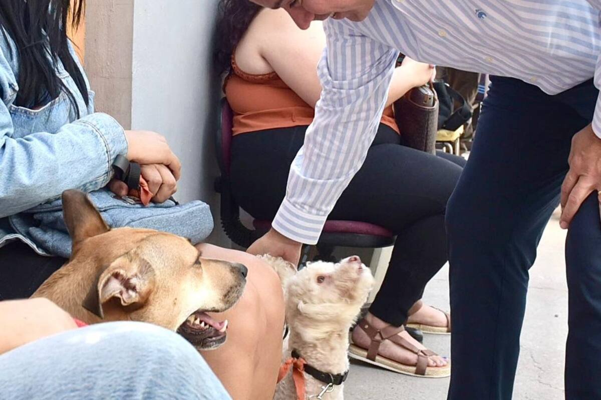 Atestigua Astiazarán jornada gratuita de esterilización de mascotas