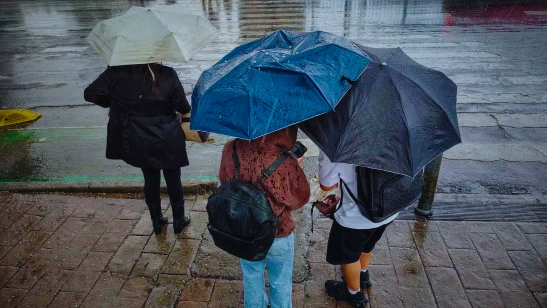 SMN alerta por frente frío 13: lluvias, heladas y vientos de hasta 100 km/h. Foto: Especial