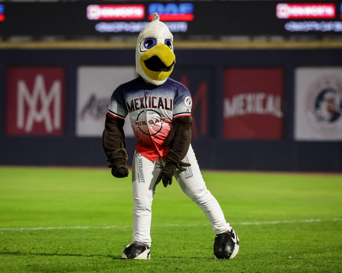 Foto: Javier Gallegos