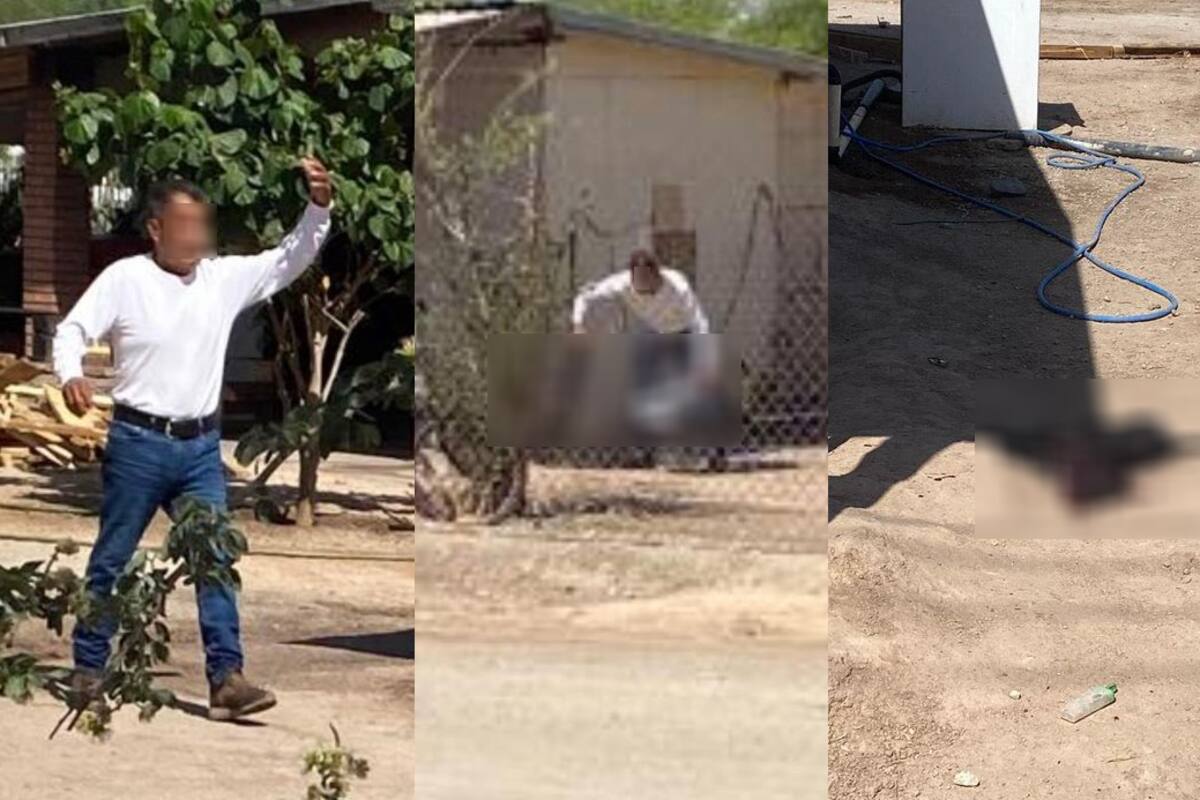 Hombre es captado matando a un cachorro