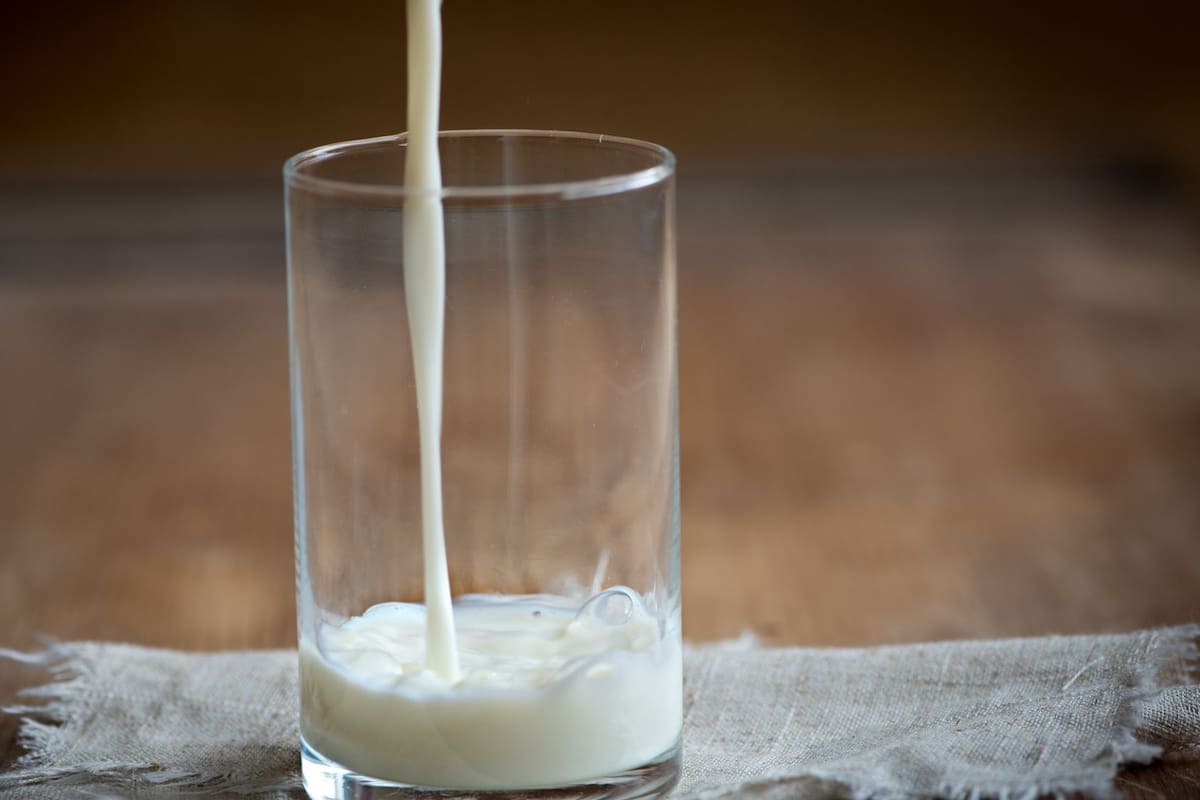 Nuevo estudio sugiere que la leche podría ser clave para prevenir el envejecimiento del cerebro
