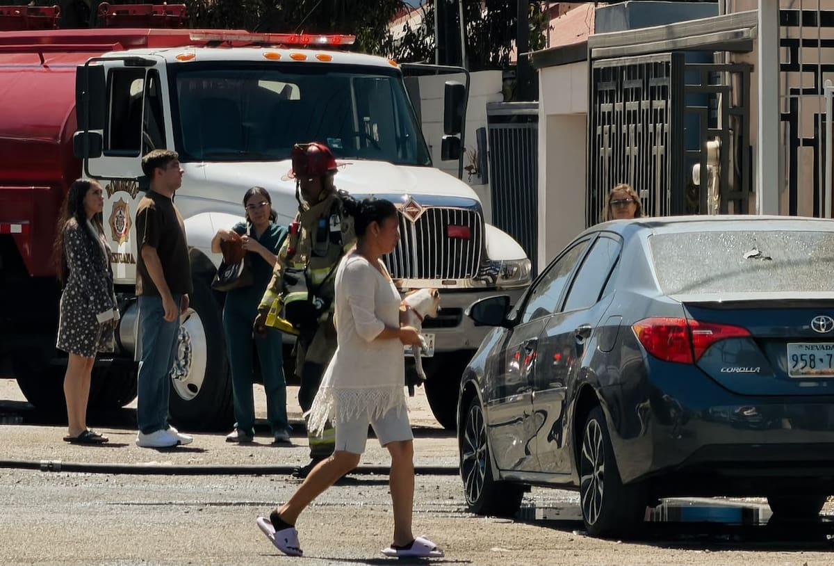 Un incendio consumió el tercer nivel de una vivienda en la colonia Xicoténcatl Leyva II; no hubo personas lesionadas, informaron autoridades.
Fotos: Border Zoom.