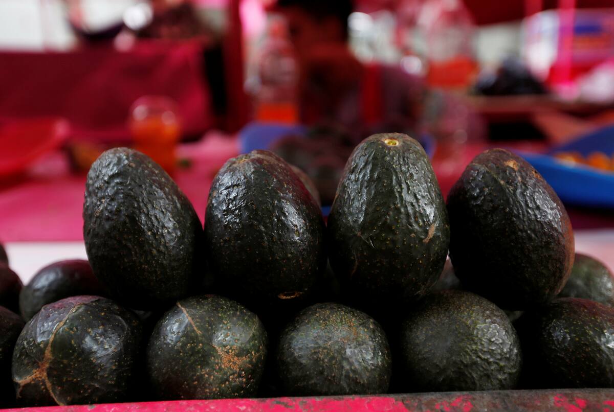 Foto de archivo. Aguacates a la venta en un mercado callejero, en Ciudad de México, México, 2 de abril de 2019. REUTERS/Claudia Daut