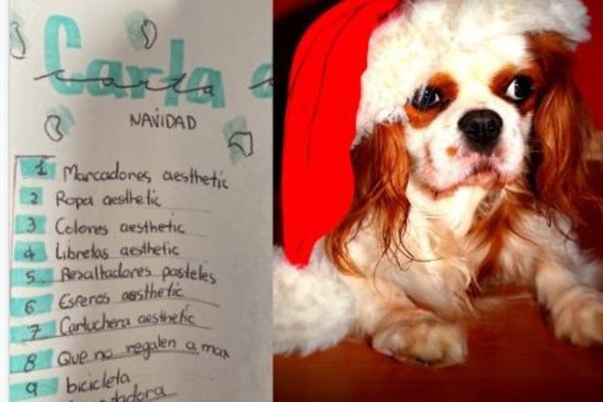 Niño le pide a Santa Claus que sus papás no regalen a su mascota