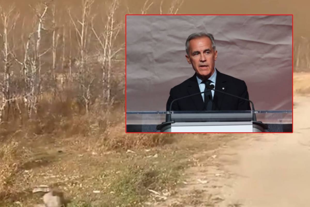 Tragedia en la base militar en Canadá deja víctimas mortales y heridos tras feroz incendio
