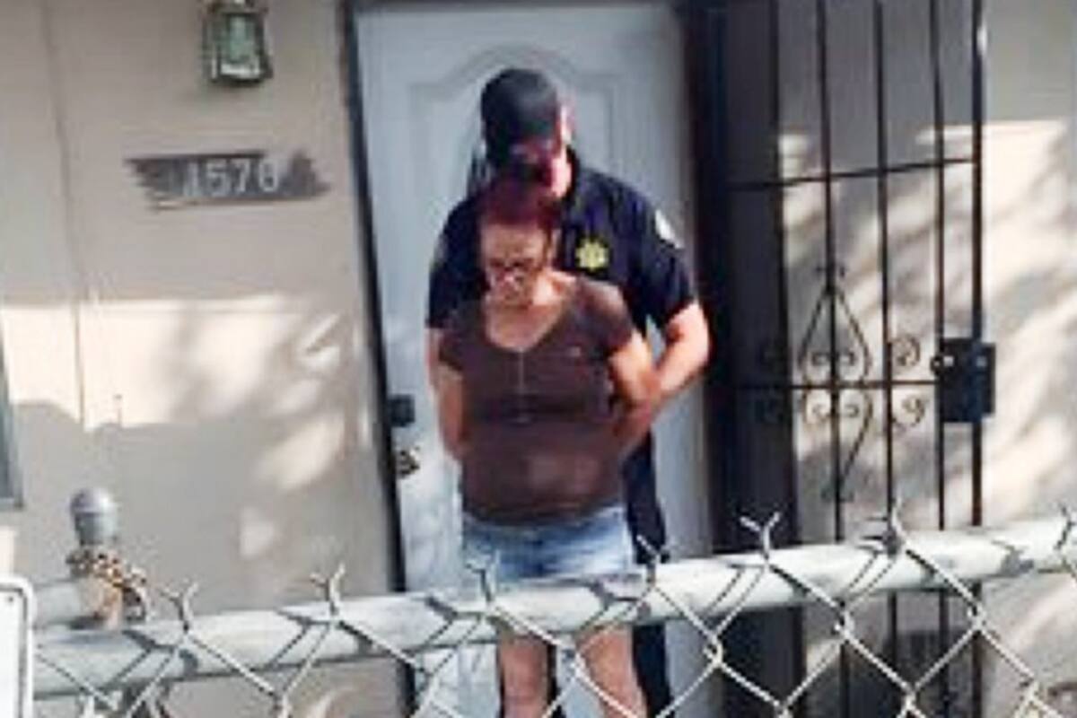 Mujer arroja a perritos "bebés" a la basura y la envían a prisión