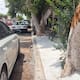 Preocupa encementado de árboles en la colonia Cortinas
