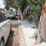 Preocupa a vecinos encementado de árboles durante obras en colonia Cortinas
