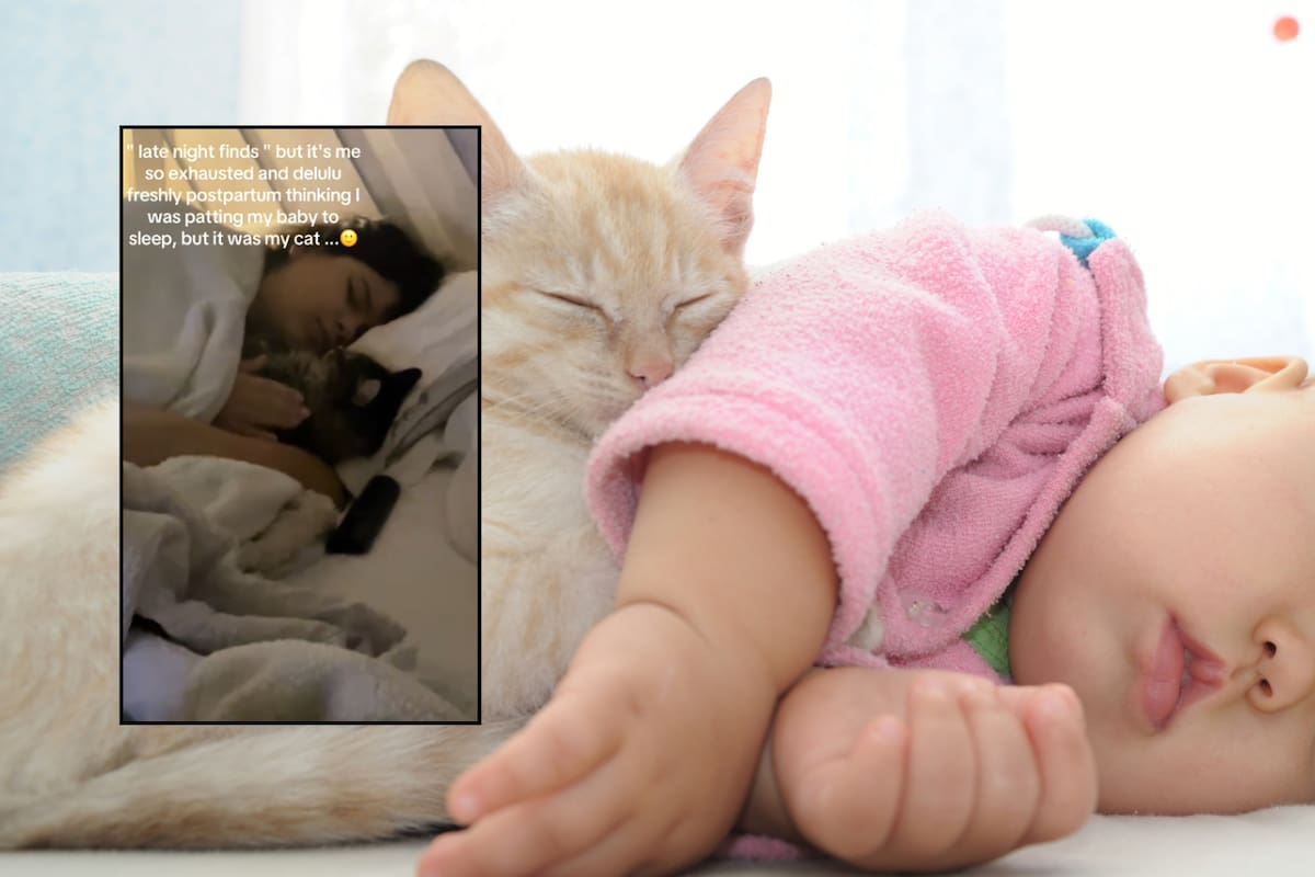 VIDEO: Madre dormida arrulla a su gatito pensando que era su bebé