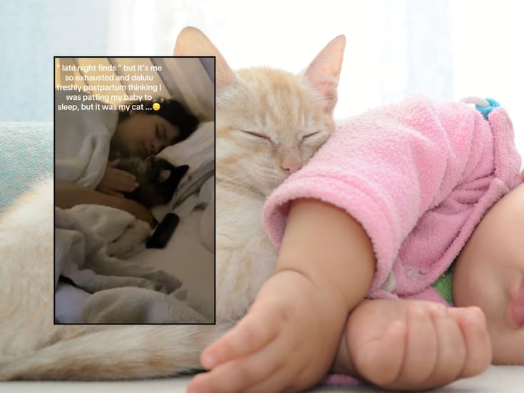 VIDEO: Madre dormida arrulla a su gatito pensando que era su bebé