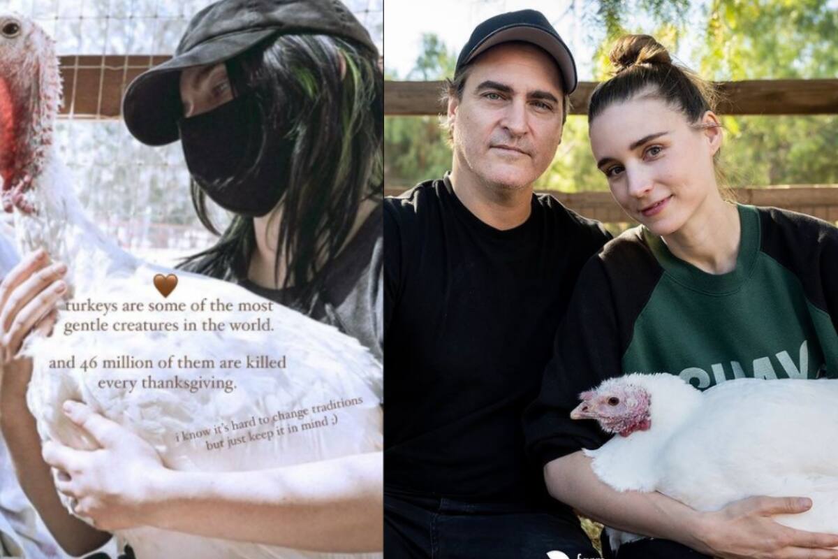 "Cambien las tradiciones": Billie Eilish pide que no coman pavo para la cena de Acción de Gracias
