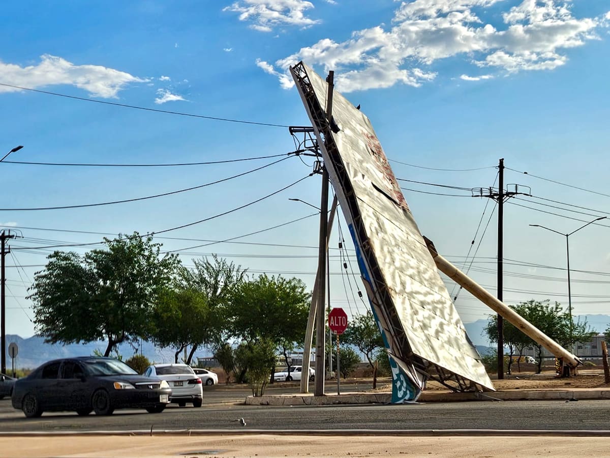 Las fuertes ráfagas de viento derribaron postes y árboles en distintos puntos de Mexicali, además de provocar apagones y complicaciones para la circulación. Foto: Said Morones.