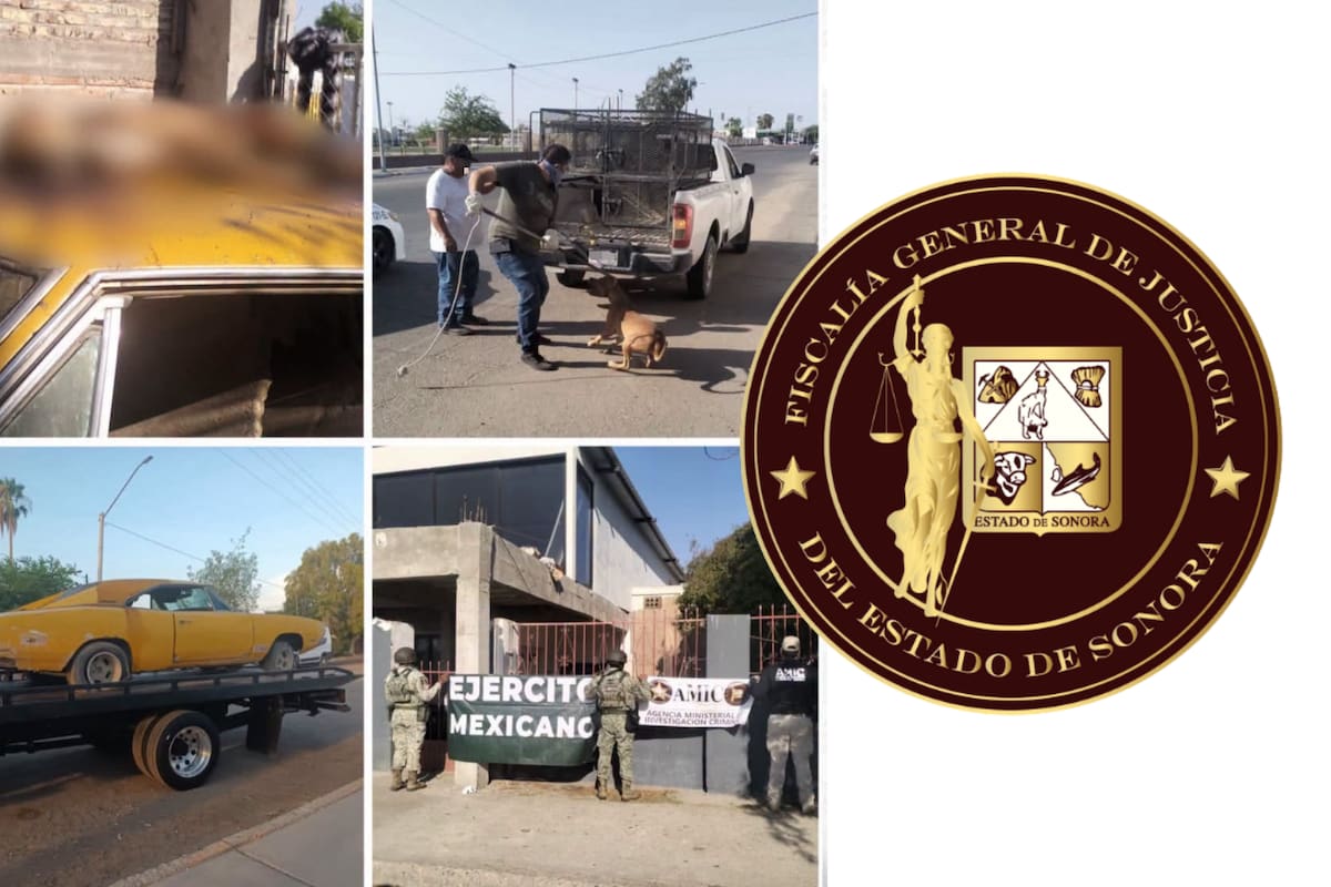 Catean inmueble por maltrato animal