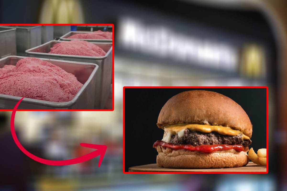 ¿Sí es carne de vaca? Así es como McDonald's fabrica sus hamburguesas