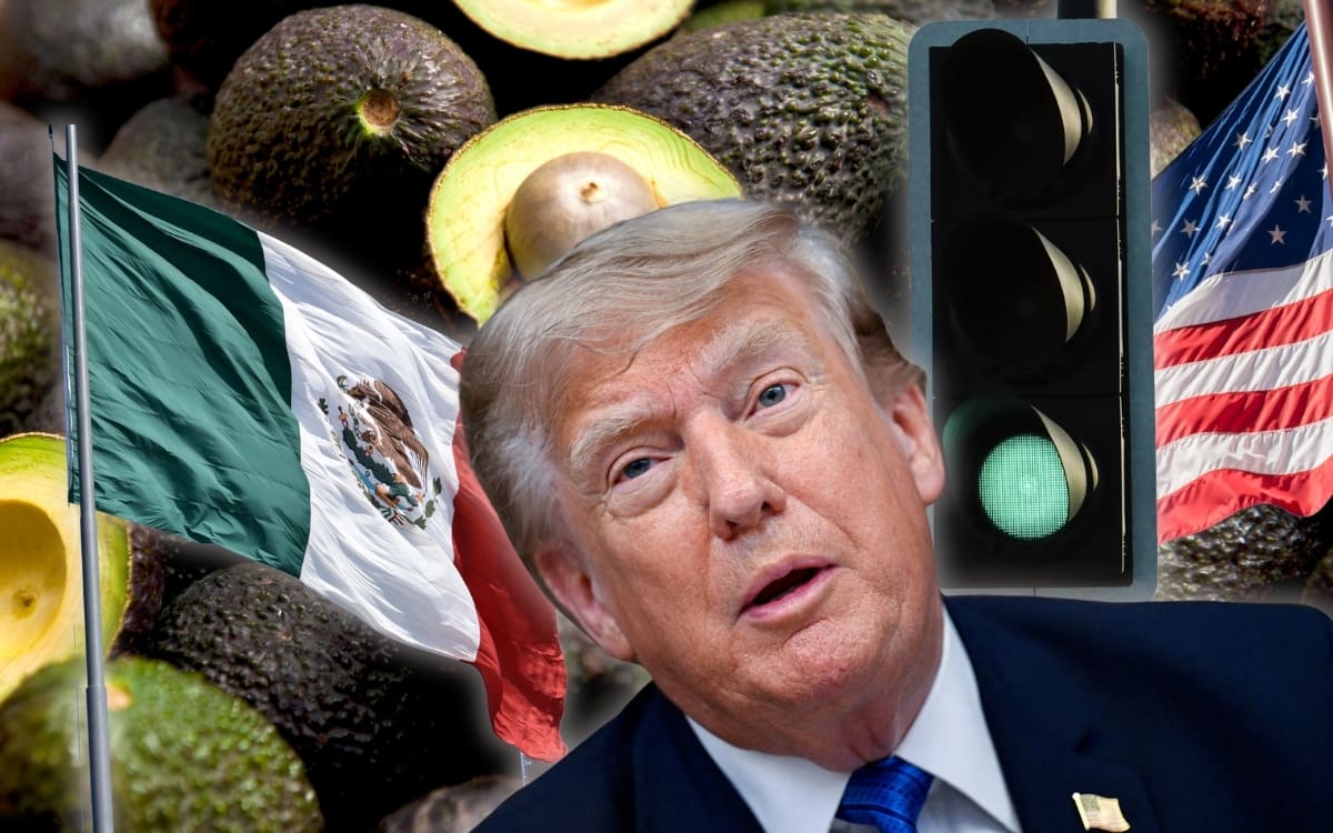 Aguacate mexicano vuelve a avanzar hacia EEUU con la liberación gradual de 9 mil toneladas que quedaron detenidas tras la suspensión de inspectores del USDA. | Crédito: REUTERS/Canva