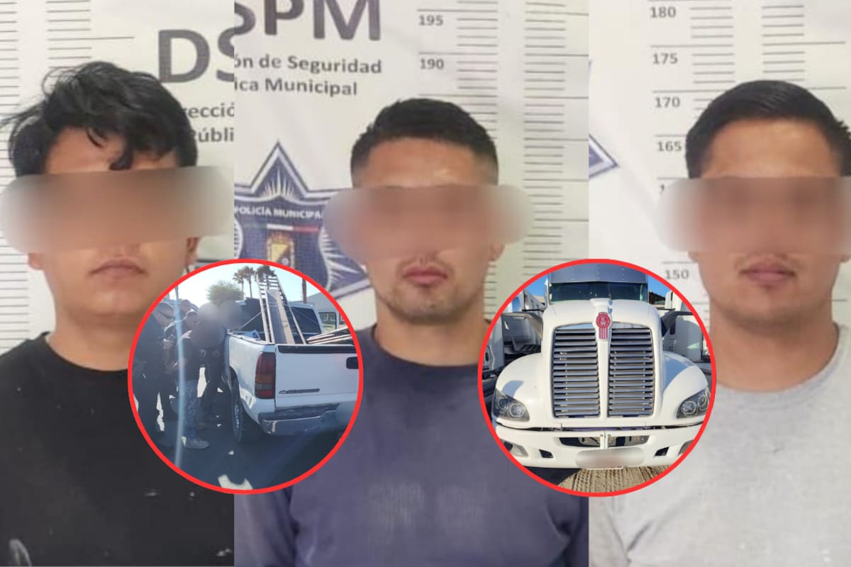 Salió de entre los matorrales e intentó robar un tráiler; lo identificaron y cayó con dos cómplices