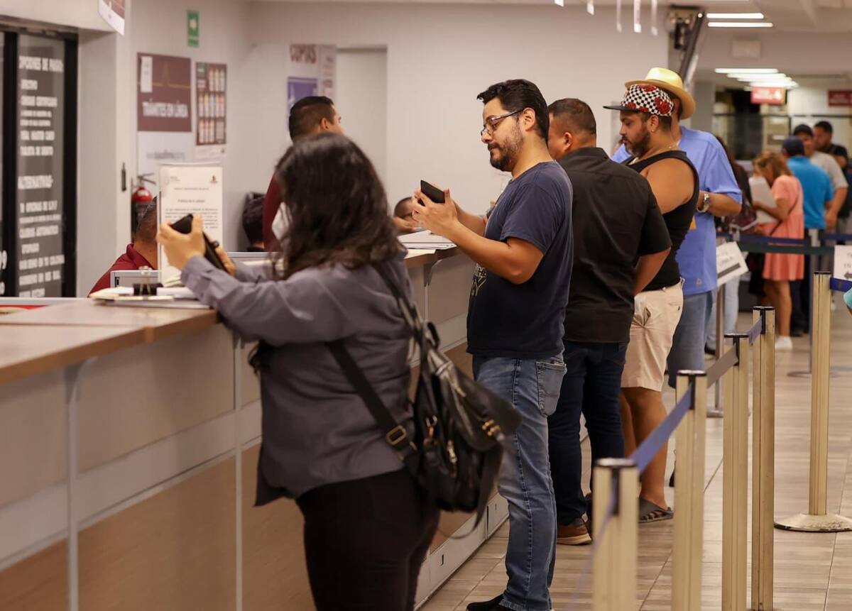 De acuerdo a la agencia Fitch Ratings, aumentaron 11% los ingresos totales de la entidad y se espera un crecimiento sostenido para los próximos años.