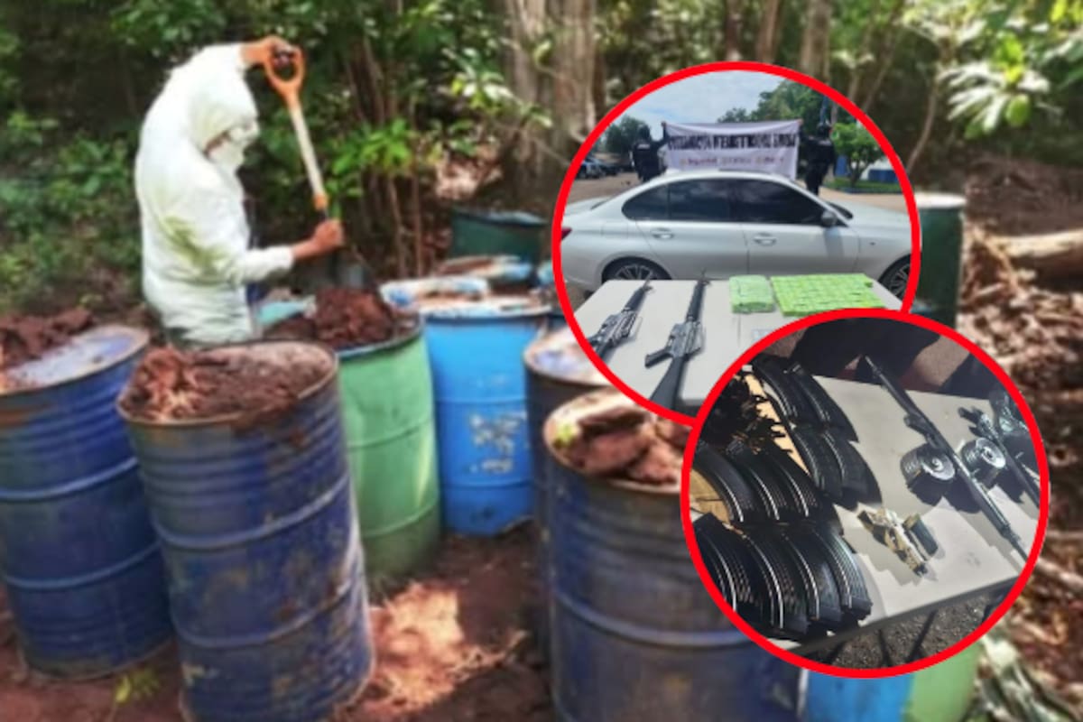 Hallan arsenal, químicos y narcolaboratorios en Sinaloa: autoridades desmantelan campamento clandestino en cuatro municipios