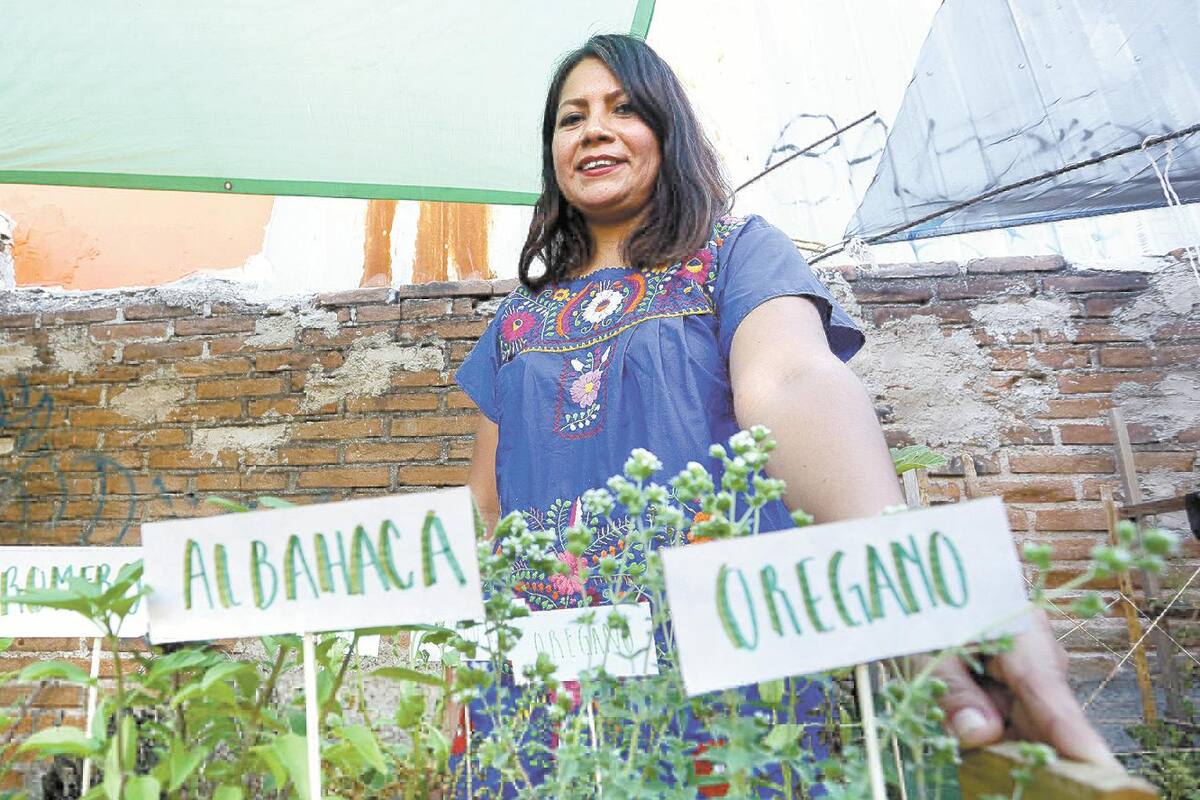 Cultiva frutas y verduras para su propio consumo