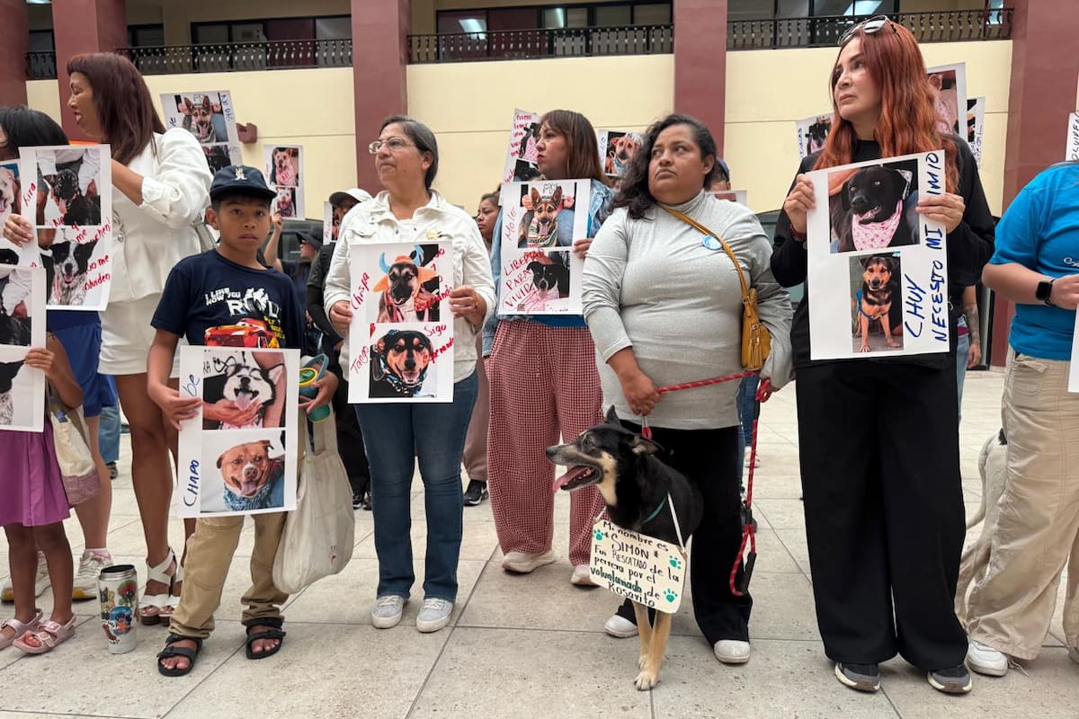 Animalistas protestan en Rosarito; exigen mejores condiciones para los animales de la perrera