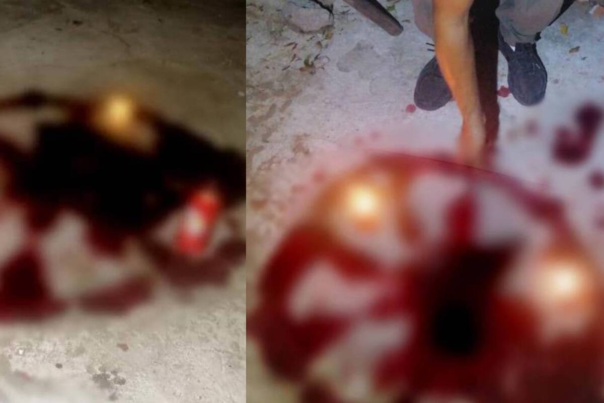 Denuncian sacrificios de animales domésticos y de granja para rituales de magia negra en Veracruz