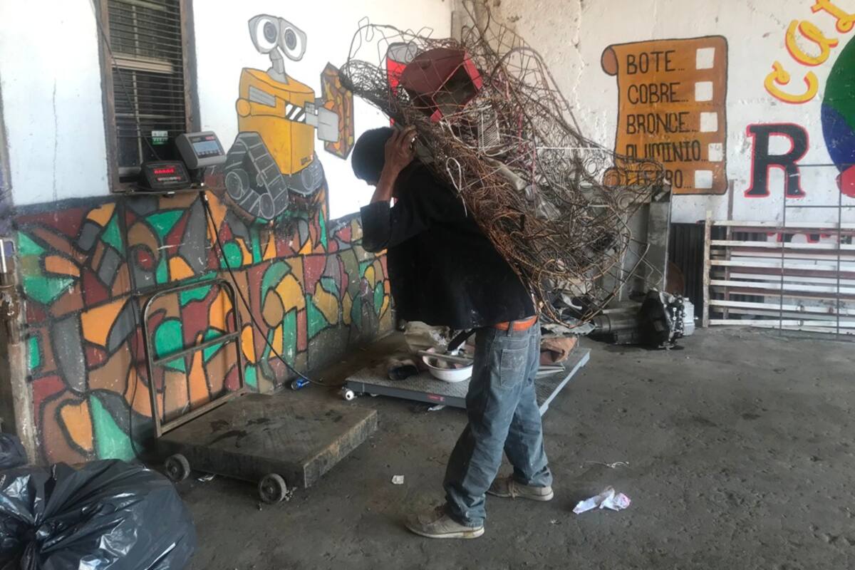 Encuentran en la basura la forma de ganarse la vida