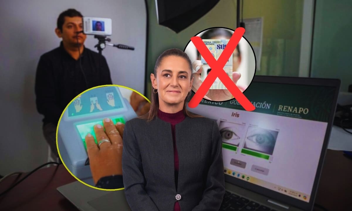 Cambio nacional en identificación: el DOF publica que la cédula profesional ya no es documento oficial y ordena a autoridades aceptar la CURP como fuente única de identidad en trámites. Foto: Especial (Archivo GH/Presidencia de México)