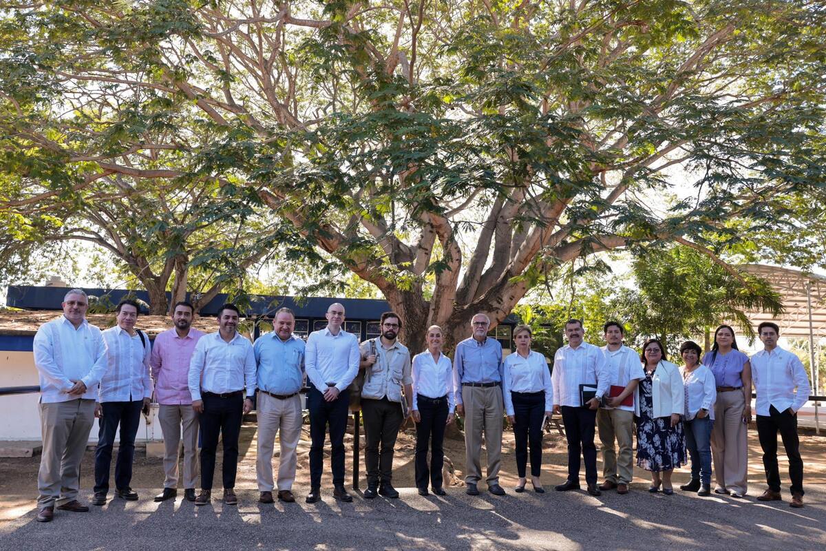 Reunión de la presidenta Claudia Sheinbaum con el gobernador de Nayarit, Miguel Ángel Navarro Quintero