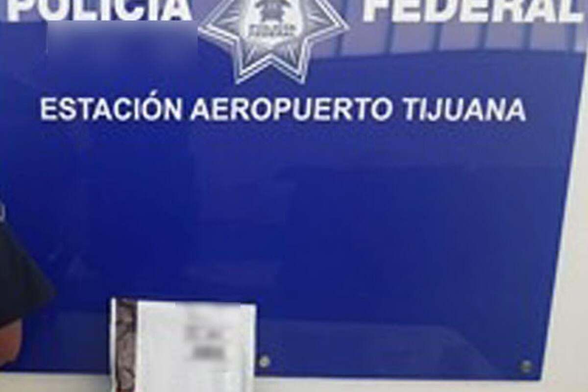 Autoridades aseguran droga oculta en un libro Aeropuerto de Tijuana