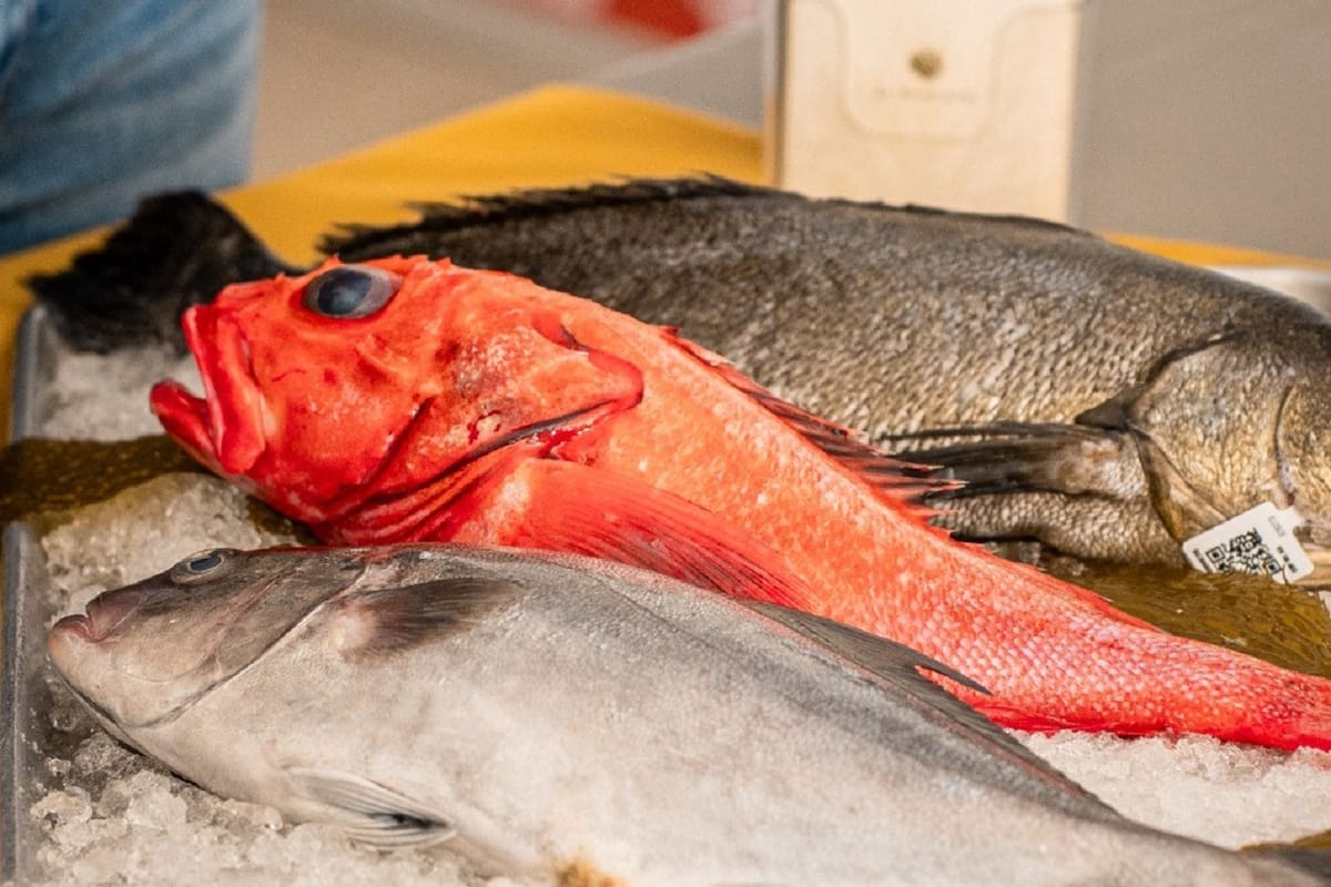 Promueve Sepesca garantía en pescados y mariscos