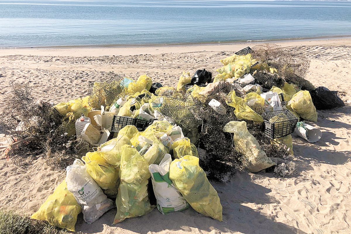 Ambientalistas llaman a no llevar más basura a destinos turísticos en vacaciones: Sonora