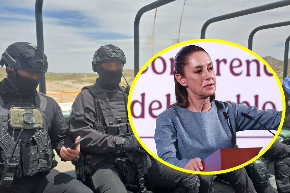 EEUU da la razón a Claudia Sheinbaum: “Agentes de ICE no participaron en operación contra el narco en México”