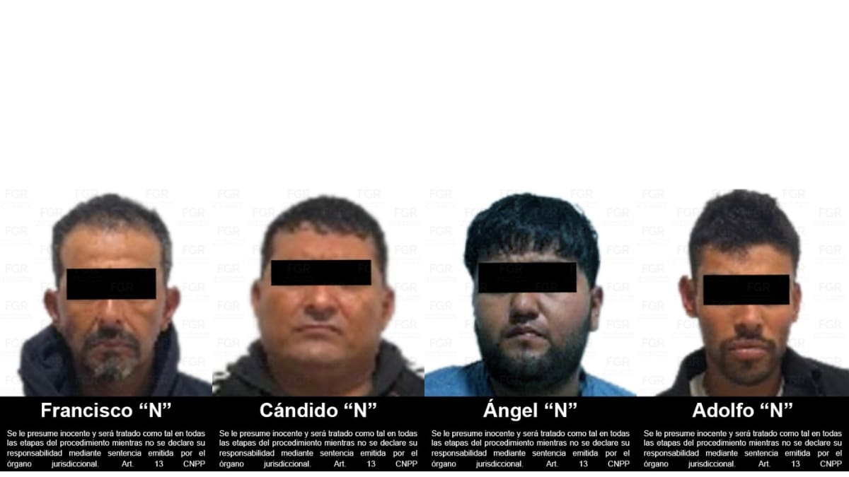 Francisco “N”, Cándido “N”, Ángel “N” y Adolfo “N” fueron detenidos y procesados por su presunta participación en la captura de 222 langostas durante el periodo de veda. Foto: Cortesía