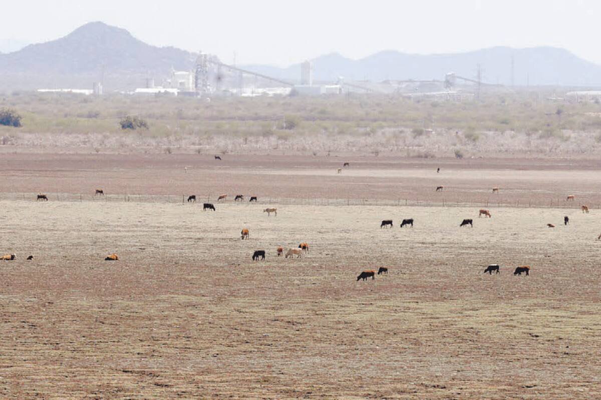 Expertos prevén futuro incierto para disponibilidad de agua en Sonora
