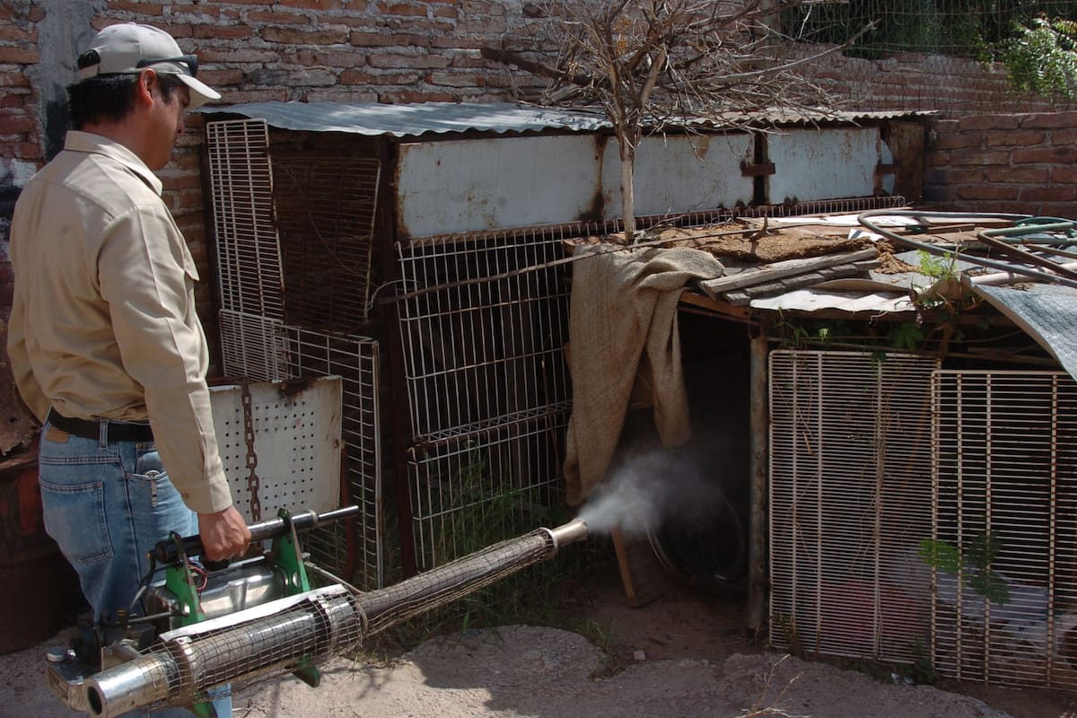 Refuerzan combate al dengue con jornada de fumigación en 44 colonias de Cajeme