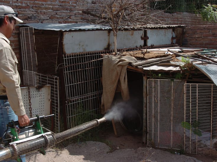 Refuerzan combate al dengue con jornada de fumigación en 44 colonias de Cajeme