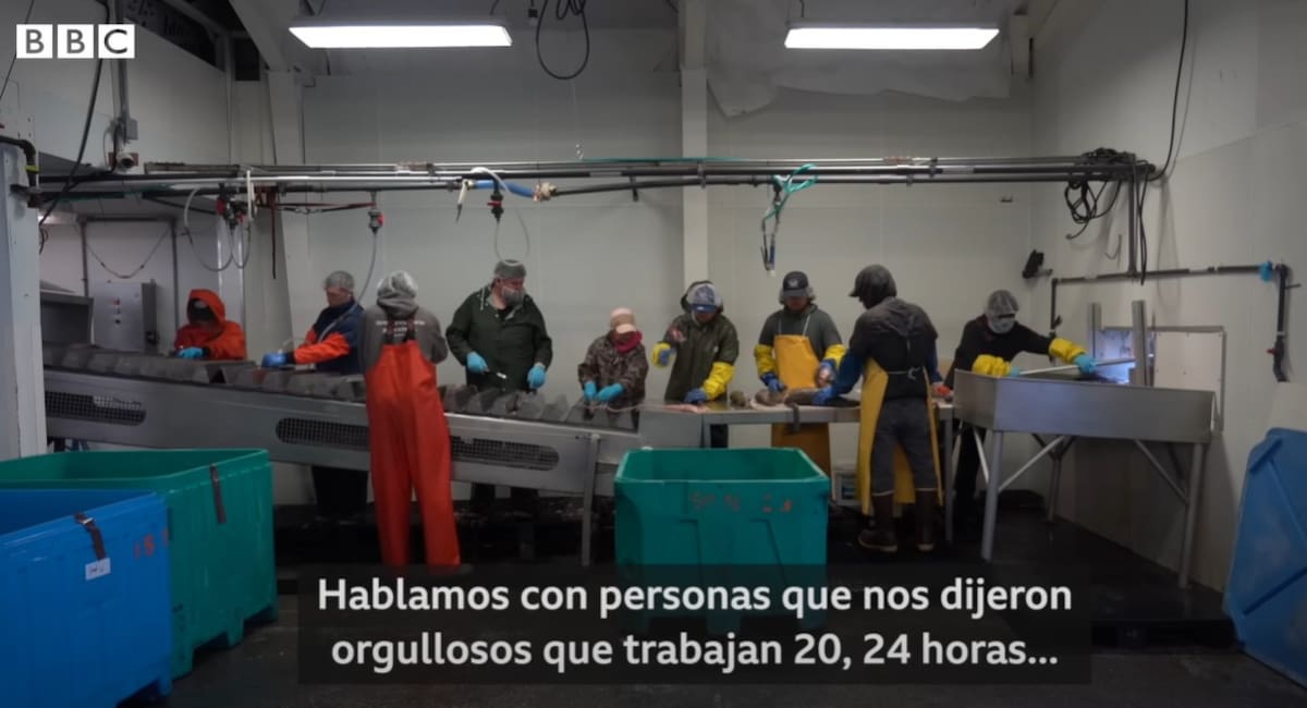 Los mayores desafíos de este empleo son las condiciones climáticas, con temperaturas muy bajas, además de que la jornada de trabajo puede superar las 18 horas. Foto: Especial (Captura de video/BBC)
