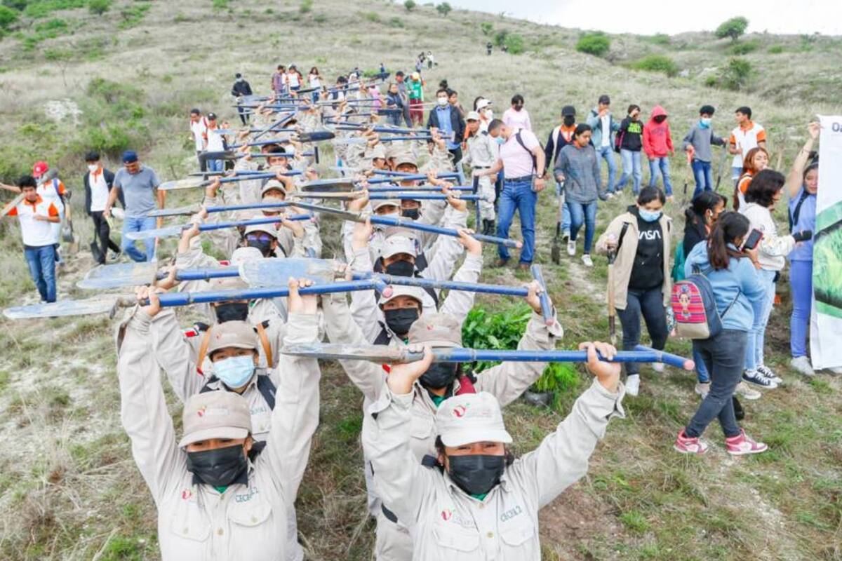 Cinco mil plantas son sembradas en Atzompa en conmemoración al Día de la Riqueza Natural de Oaxaca