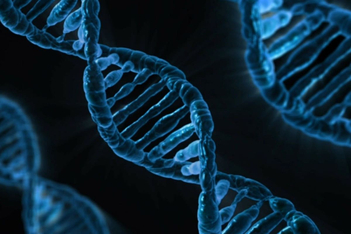 Qué es CRISPR, la tecnología que altera el ADN y podría crear superhumanos y curar enfermedades