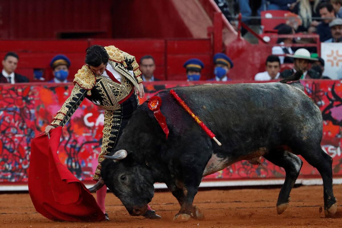 Esperan resolver amparo contra corridas de toros en Tijuana