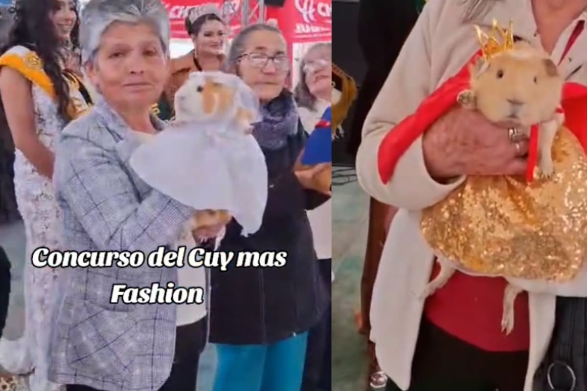 Un video de una competencia de cuyos disfrazados se vuelve viral en TikTok