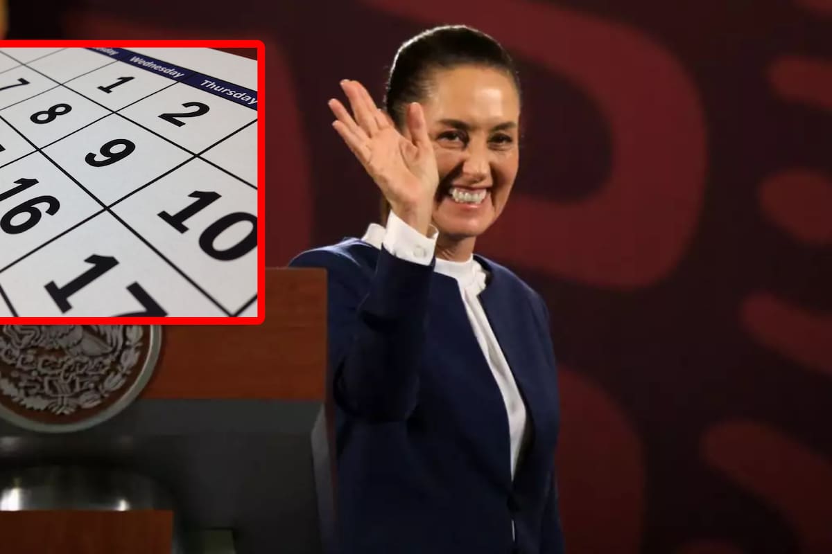 Este día iniciarán “Las Mañaneras” de Claudia Sheinbaum, ¿A qué hora será?