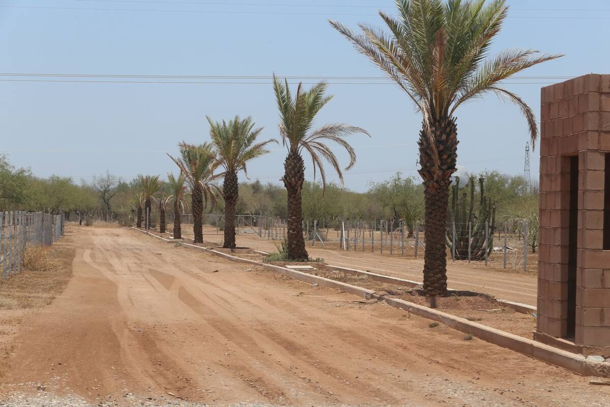 Investiga Municipio de Hermosillo a campestres por incumplimiento con compradores