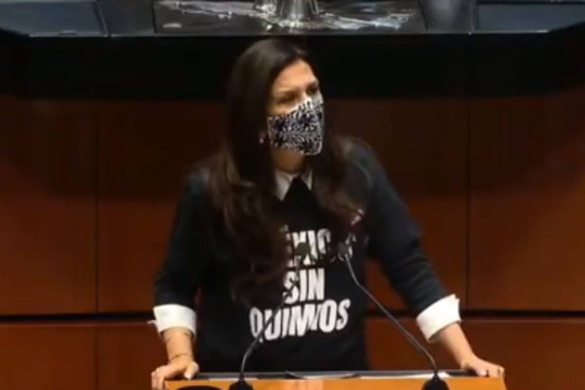 Senadores del Pan responsabilizan a AMLO de seguridad de Lilly Téllez tras amenazas a su familia