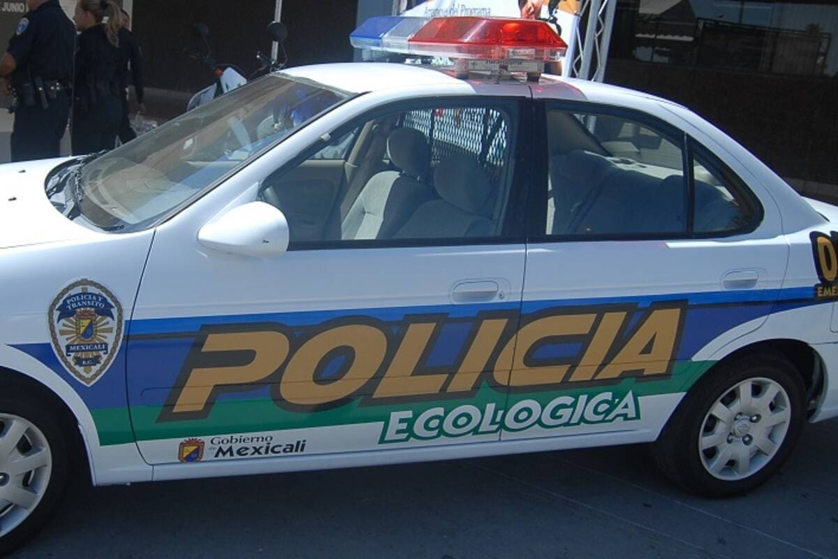 Exhortan a ayuntamiento de Mexicali a informar sobre patrullas ecológicas