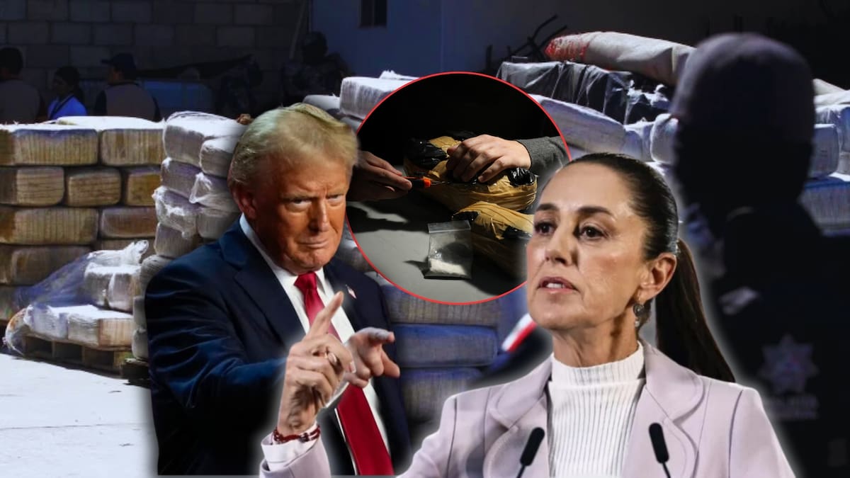 Sheinbaum responde a Trump sobre declarar a narcotraficantes como terroristas. Foto: Especial (Reuters/AP/Presidencia)