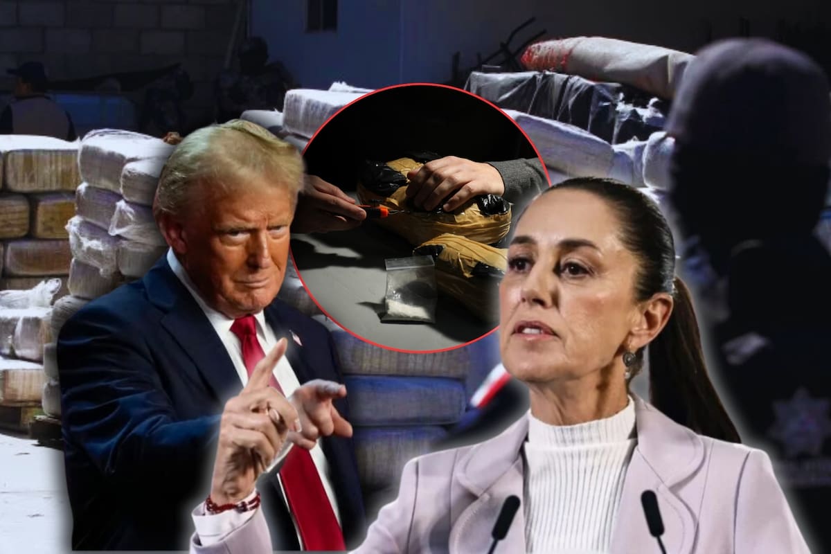 Claudia Sheinbaum responde a Donald Trump tras anunciar que declarará a cárteles mexicanos como terroristas: ¿Qué le dijo?