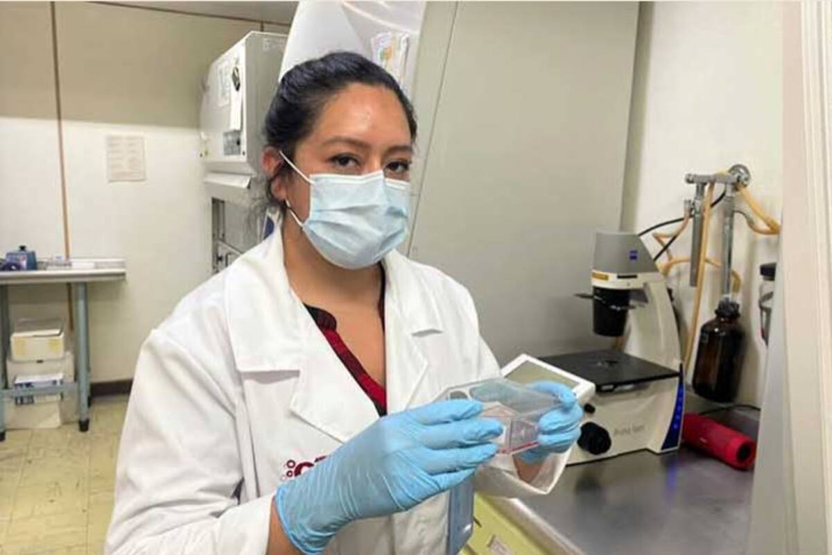 Tratamientos contra la Covid: Científica del IPN crea medicamento que dice reduce 90% replicación del coronavirus