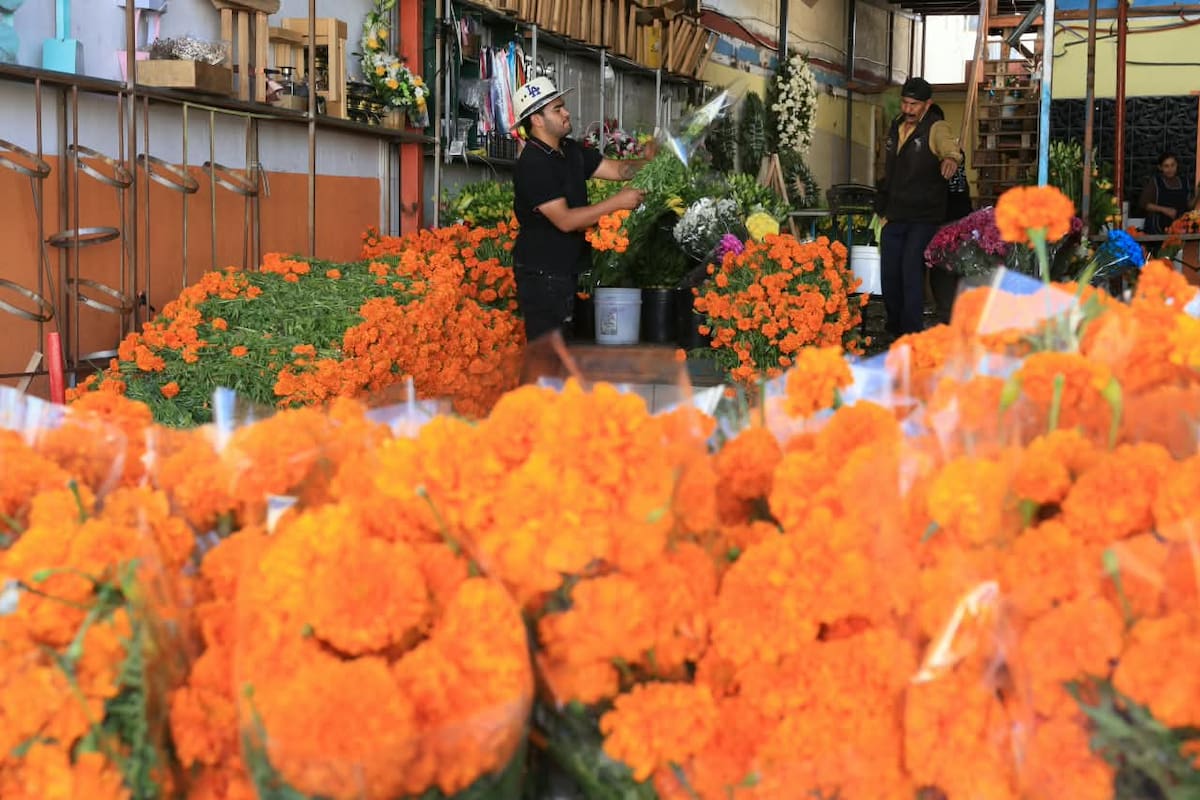 Comerciantes del Centro de Tijuana se preparan para vender flor de cempasúchil. Foto: Sergio Ortiz